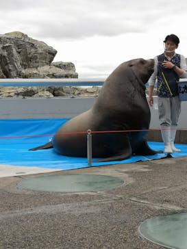 大分マリーンパレス水族館 「うみたまご」に投稿された画像（2021/4/4）