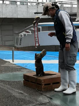 大分マリーンパレス水族館 「うみたまご」に投稿された画像（2021/4/4）