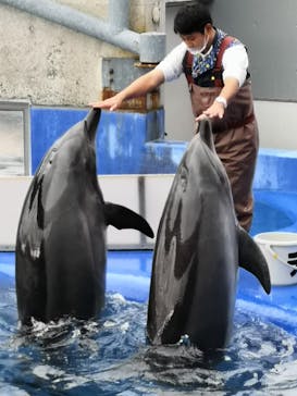大分マリーンパレス水族館 「うみたまご」に投稿された画像（2021/4/4）