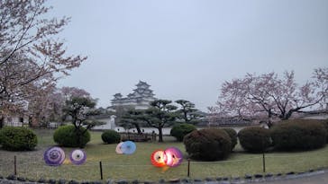 姫路城（イベント）に投稿された画像（2021/4/4）