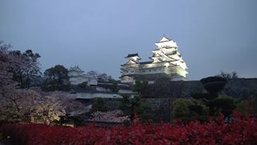 姫路城（イベント）に投稿された画像（2021/4/4）