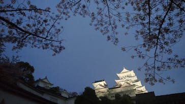 姫路城（イベント）に投稿された画像（2021/4/4）