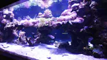 すみだ水族館に投稿された画像（2021/4/5）