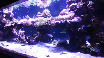 すみだ水族館に投稿された画像（2021/4/4）