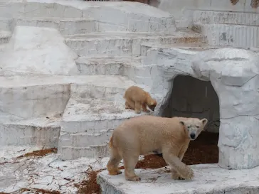 天王寺動物園に投稿された画像（2021/4/4）