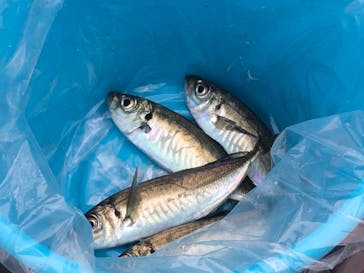 横浜・八景島シーパラダイスに投稿された画像（2021/4/5）