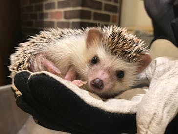 HARRY　原宿駅前店に投稿された画像（2021/4/5）