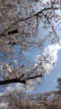 東武動物公園に投稿された画像（2021/4/5）