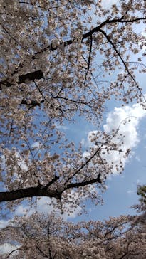 東武動物公園に投稿された画像（2021/4/5）