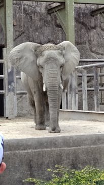 東武動物公園に投稿された画像（2021/4/5）