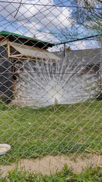 東武動物公園に投稿された画像（2021/4/5）