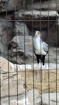 東武動物公園に投稿された画像（2021/4/5）