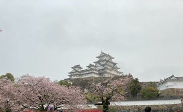 姫路城（イベント）に投稿された画像（2021/4/5）