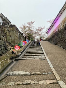 姫路城（イベント）に投稿された画像（2021/4/5）