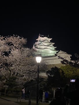 姫路城（イベント）に投稿された画像（2021/4/5）