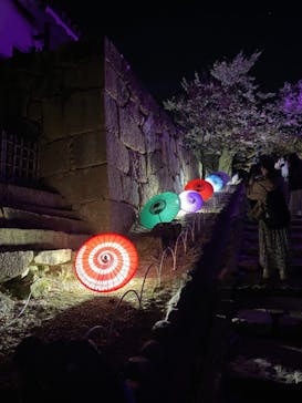 姫路城（イベント）に投稿された画像（2021/4/5）