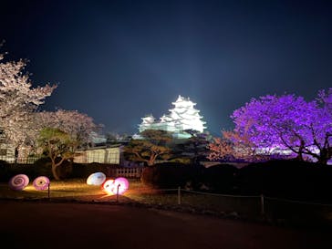 姫路城（イベント）に投稿された画像（2021/4/5）