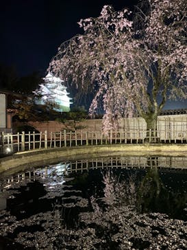 姫路城（イベント）に投稿された画像（2021/4/5）