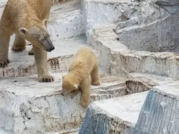 天王寺動物園に投稿された画像（2021/4/5）