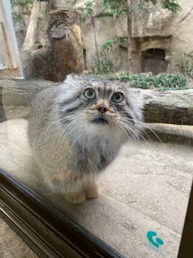 那須どうぶつ王国に投稿された画像（2021/4/5）