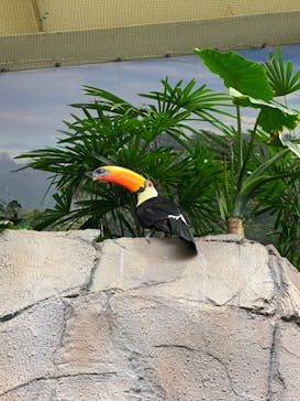 那須どうぶつ王国に投稿された画像（2021/4/5）