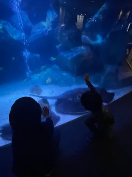 すみだ水族館に投稿された画像（2021/4/5）