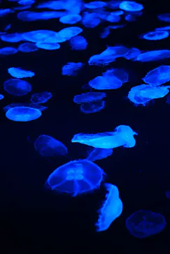 すみだ水族館に投稿された画像（2021/4/5）