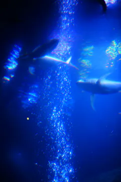 すみだ水族館に投稿された画像（2021/4/5）