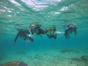 DIVING-SHOP SUNSに投稿された画像（2021/4/5）