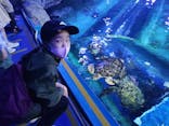 しながわ水族館に投稿された画像（2021/4/5）