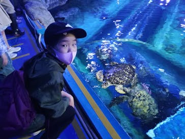 しながわ水族館に投稿された画像（2021/4/5）