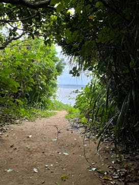 西表島 ADVENTURE PiPi（アドベンチャーピピ）に投稿された画像（2021/4/5）