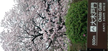 新宿御苑に投稿された画像（2021/4/5）