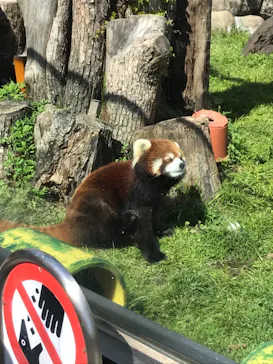天王寺動物園に投稿された画像（2021/4/5）