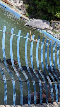 天王寺動物園に投稿された画像（2021/4/5）