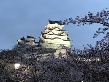 姫路城（イベント）に投稿された画像（2021/4/5）