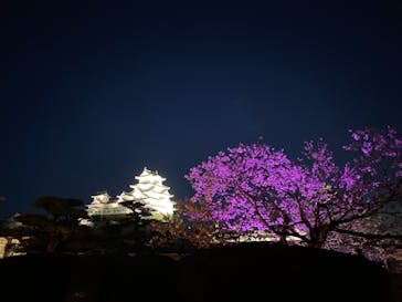 姫路城（イベント）に投稿された画像（2021/4/5）