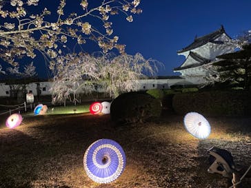 姫路城（イベント）に投稿された画像（2021/4/5）