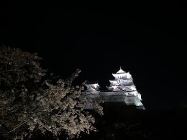 姫路城（イベント）に投稿された画像（2021/4/5）