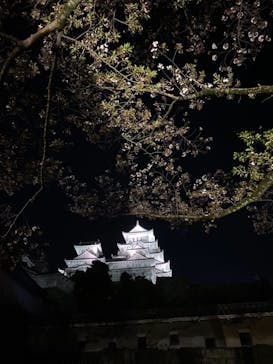 姫路城（イベント）に投稿された画像（2021/4/5）