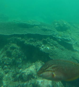 串本海中公園水族館に投稿された画像（2021/4/5）