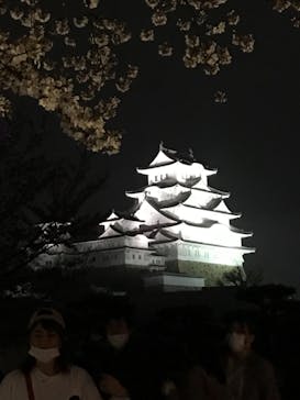 姫路城（イベント）に投稿された画像（2021/4/5）