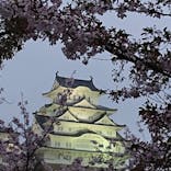 姫路城（イベント）に投稿された画像（2021/4/5）