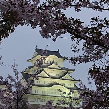 姫路城（イベント）に投稿された画像（2021/4/5）