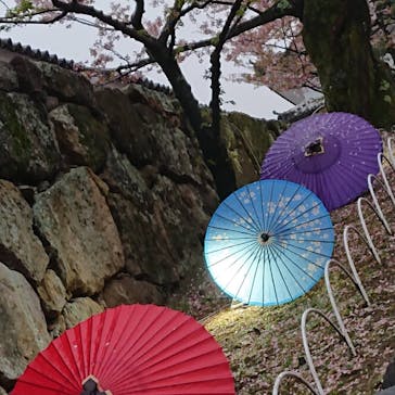 姫路城（イベント）に投稿された画像（2021/4/5）