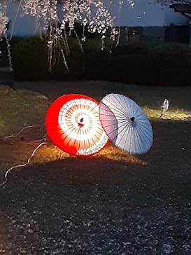 姫路城（イベント）に投稿された画像（2021/4/5）