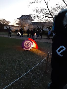 姫路城（イベント）に投稿された画像（2021/4/5）