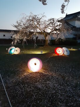 姫路城（イベント）に投稿された画像（2021/4/5）