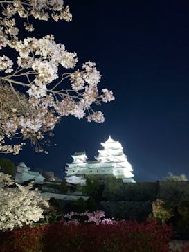 姫路城（イベント）に投稿された画像（2021/4/5）