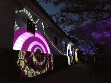 姫路城（イベント）に投稿された画像（2021/4/5）